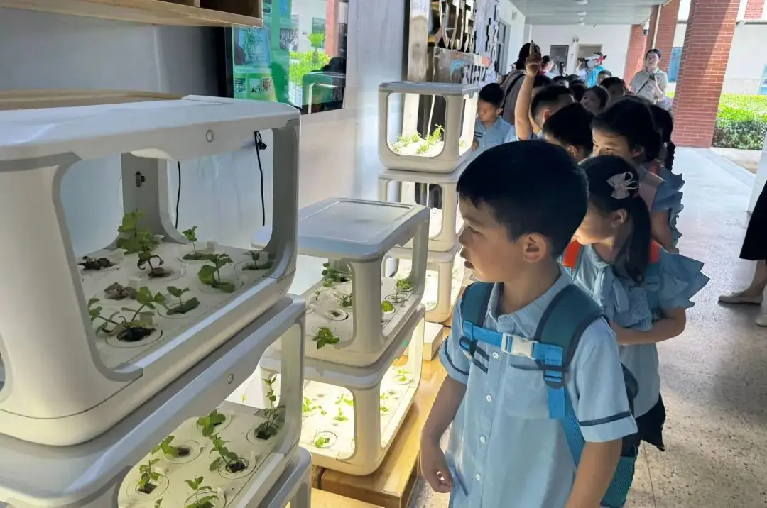 中南幼丨初探小学· “幼”见成长 第30张 中南幼丨初探小学· “幼”见成长 第30张