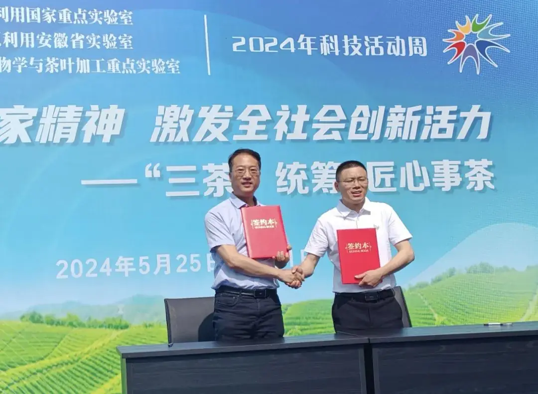 合肥市琥珀小学与安徽农业大学合作共建茶学科普教育基地 第2张 合肥市琥珀小学与安徽农业大学合作共建茶学科普教育基地 第2张