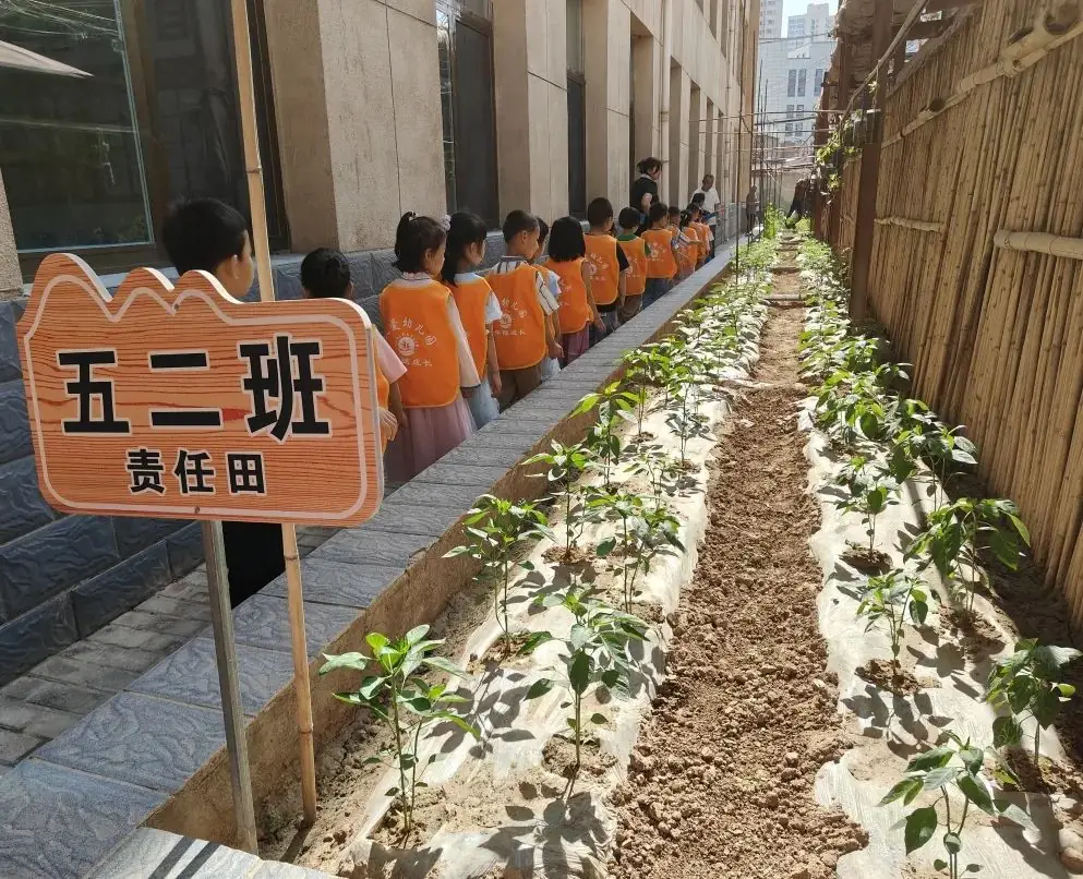 【幼小衔接】小学初体验 衔接促成长——天爱幼儿园大班组走进小学活动纪实 第46张 【幼小衔接】小学初体验 衔接促成长——天爱幼儿园大班组走进小学活动纪实 第46张