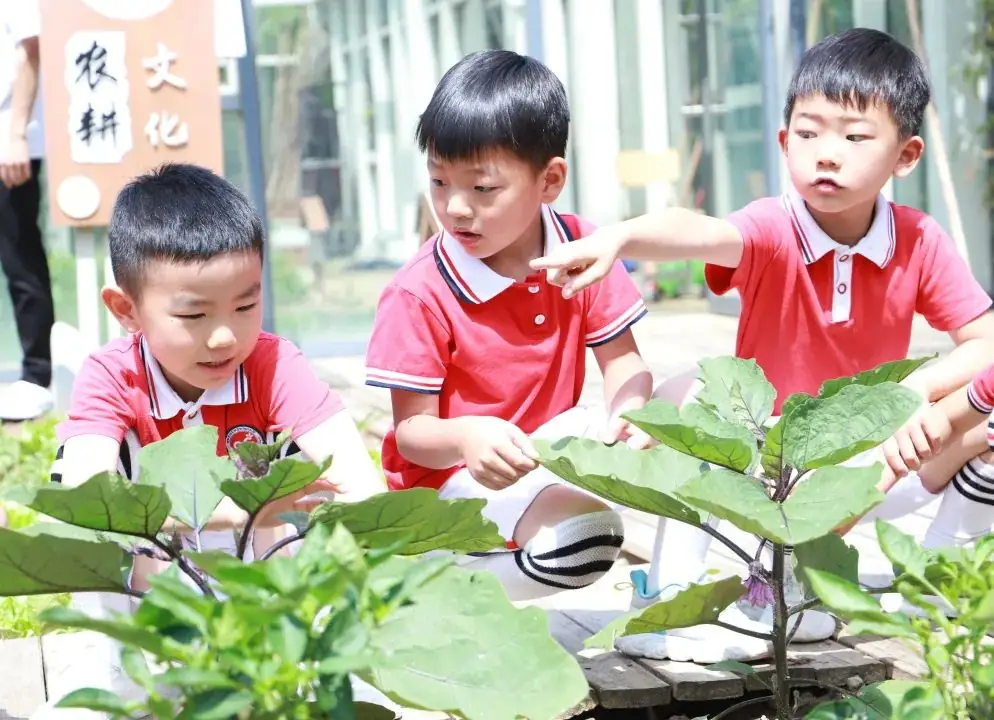 探访小学 科学衔接 第30张