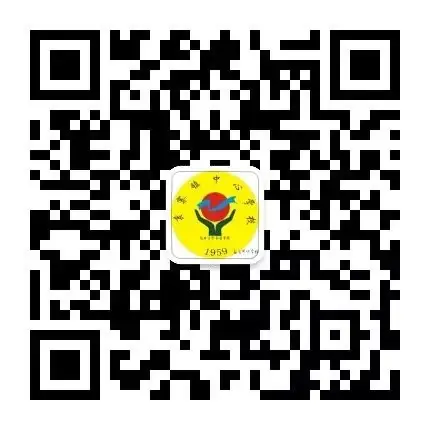 袁寨中心小学:开展专业培训 提升自救本领 第6张 袁寨中心小学:开展专业培训 提升自救本领 第6张