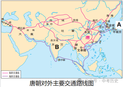 2024年中考历史35大必考专题+专练 第44张 2024年中考历史35大必考专题+专练 第44张