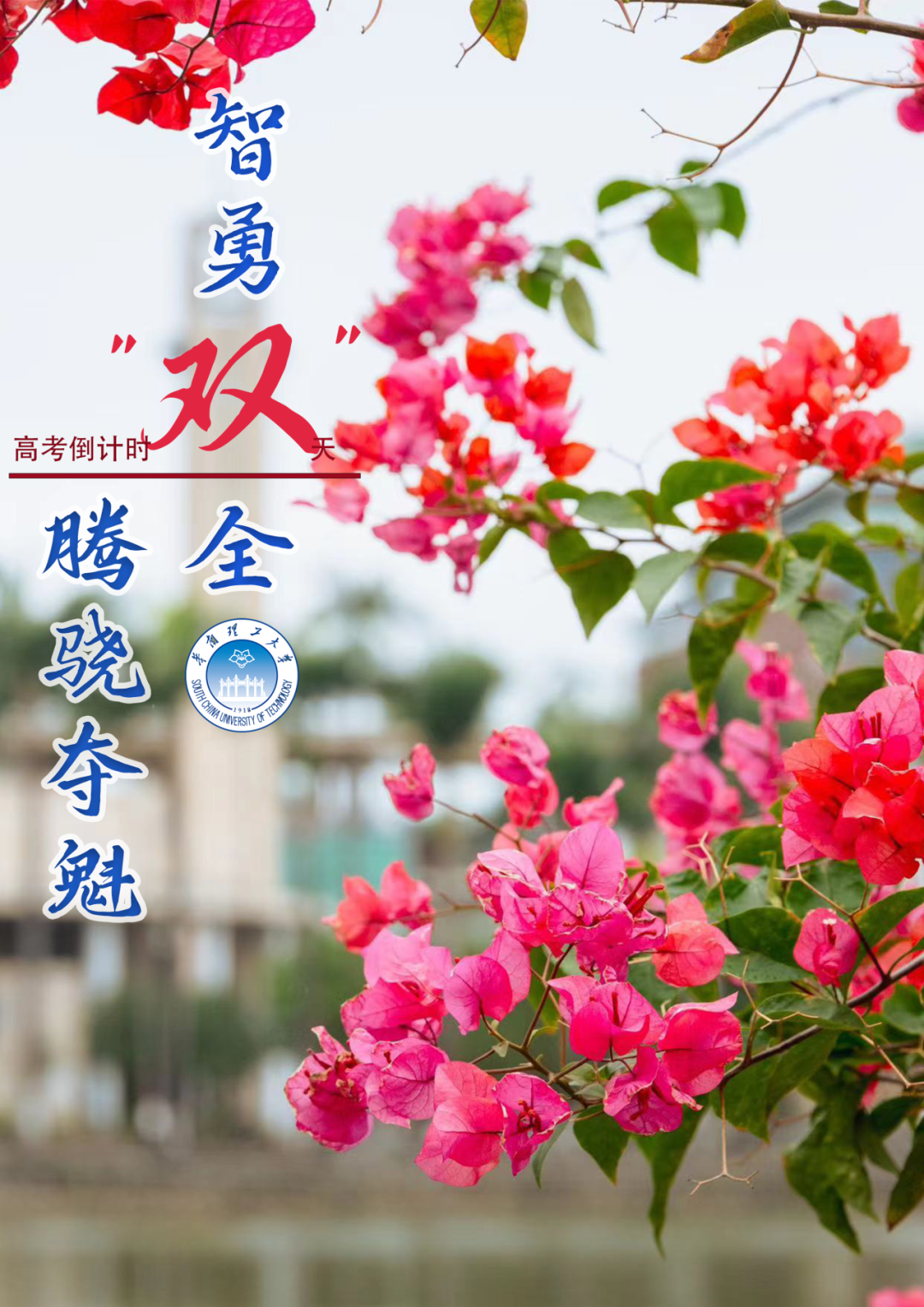 【高考倒计时10天】10、9、8、7……华南理工! 第13张 【高考倒计时10天】10、9、8、7……华南理工! 第13张