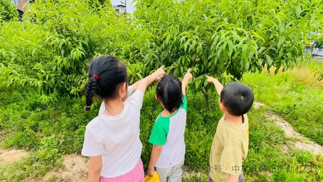 小学“慧”感知,衔接育成长——中牟县朝阳街幼儿园参观小学活动 第59张 小学“慧”感知,衔接育成长——中牟县朝阳街幼儿园参观小学活动 第59张