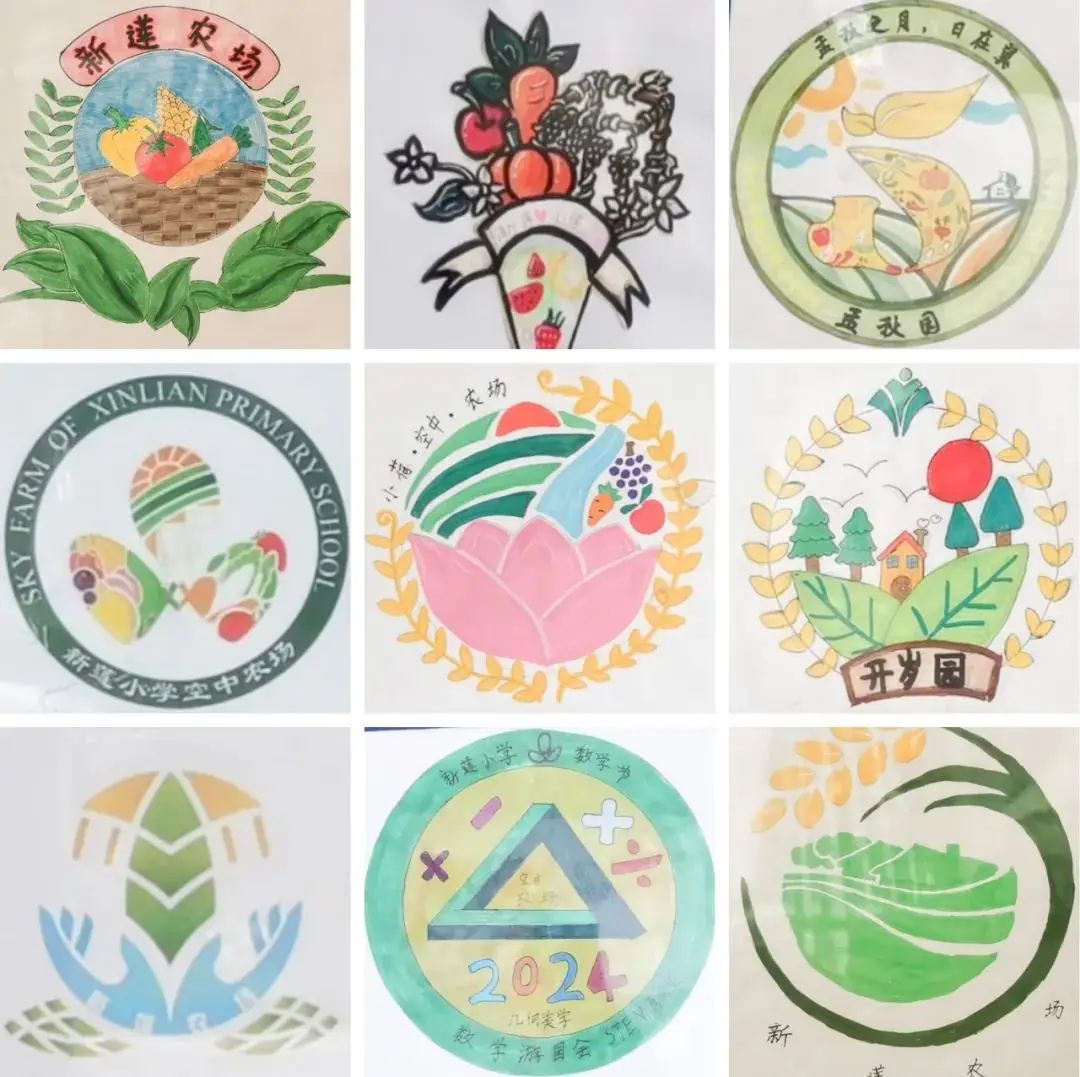 莲花山下好大一节数学课:新莲小学“空中农场的几何美学”课程长卷 第15张 莲花山下好大一节数学课:新莲小学“空中农场的几何美学”课程长卷 第15张