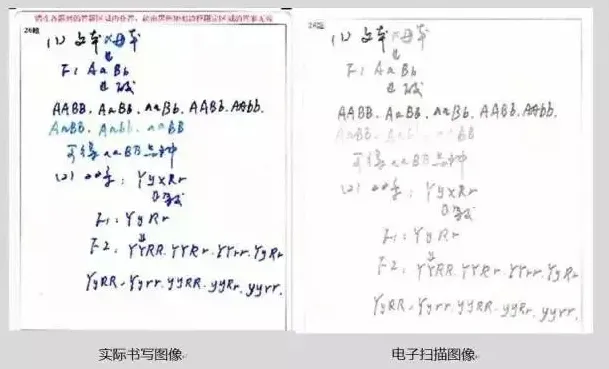 高考试卷扫描后是什么样子的? 第3张 高考试卷扫描后是什么样子的? 第3张