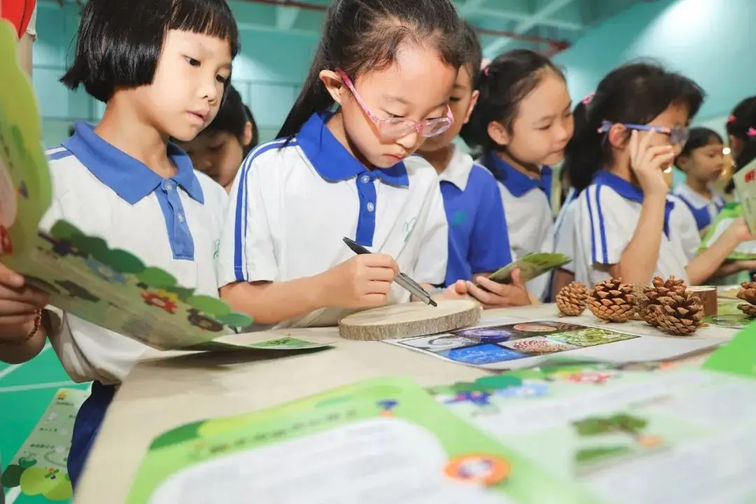 莲花山下好大一节数学课:新莲小学“空中农场的几何美学”课程长卷 第16张 莲花山下好大一节数学课:新莲小学“空中农场的几何美学”课程长卷 第16张