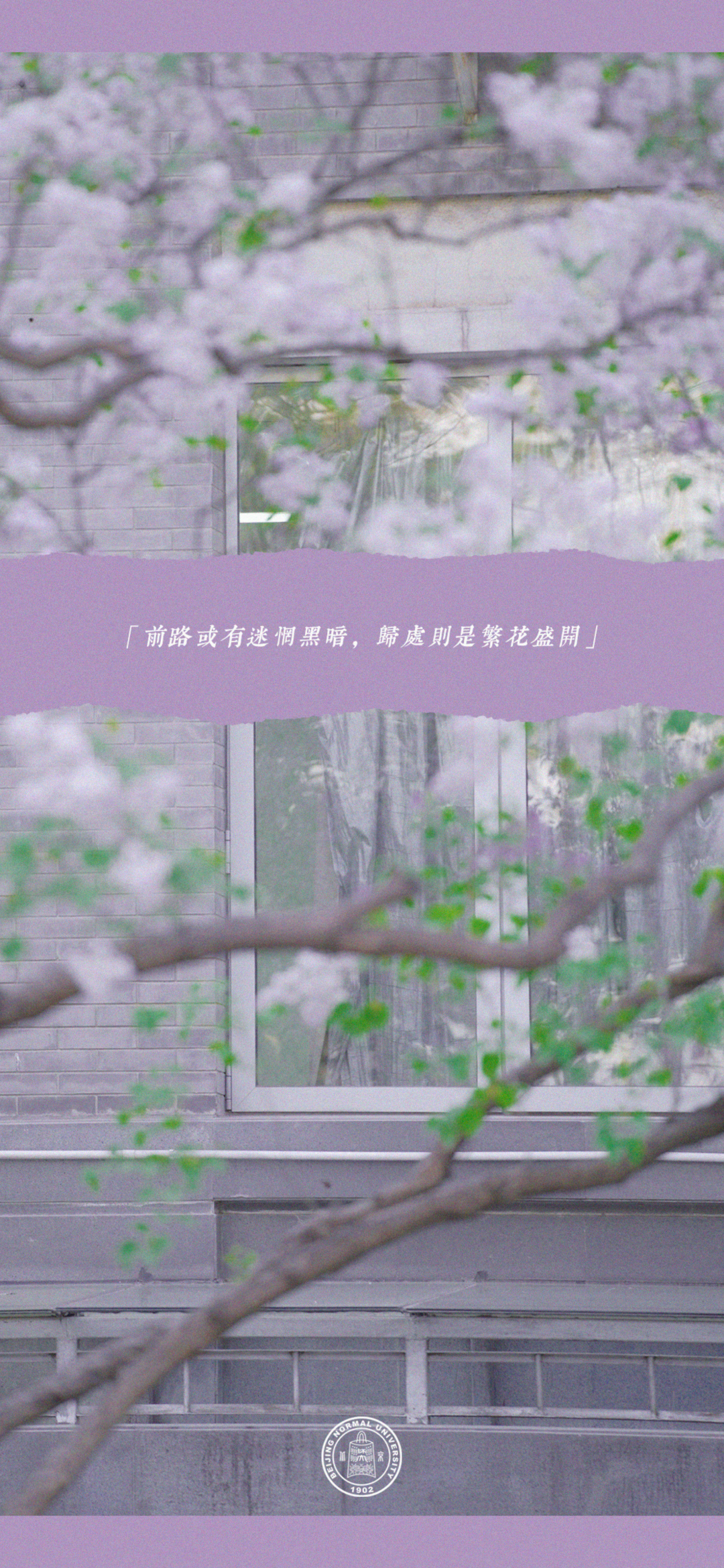 高考临近,这份祝福送给全力以赴的你! 第19张 高考临近,这份祝福送给全力以赴的你! 第19张