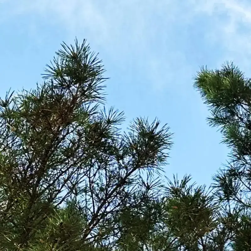 高考倒计时9天,加油! 第9张 高考倒计时9天,加油! 第9张