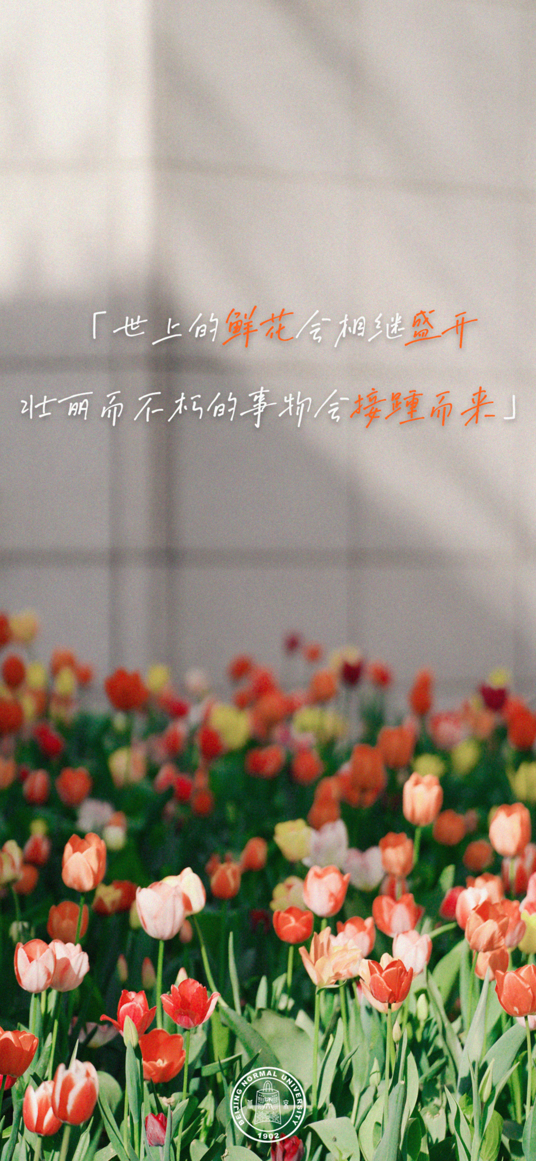 高考临近,这份祝福送给全力以赴的你! 第20张 高考临近,这份祝福送给全力以赴的你! 第20张