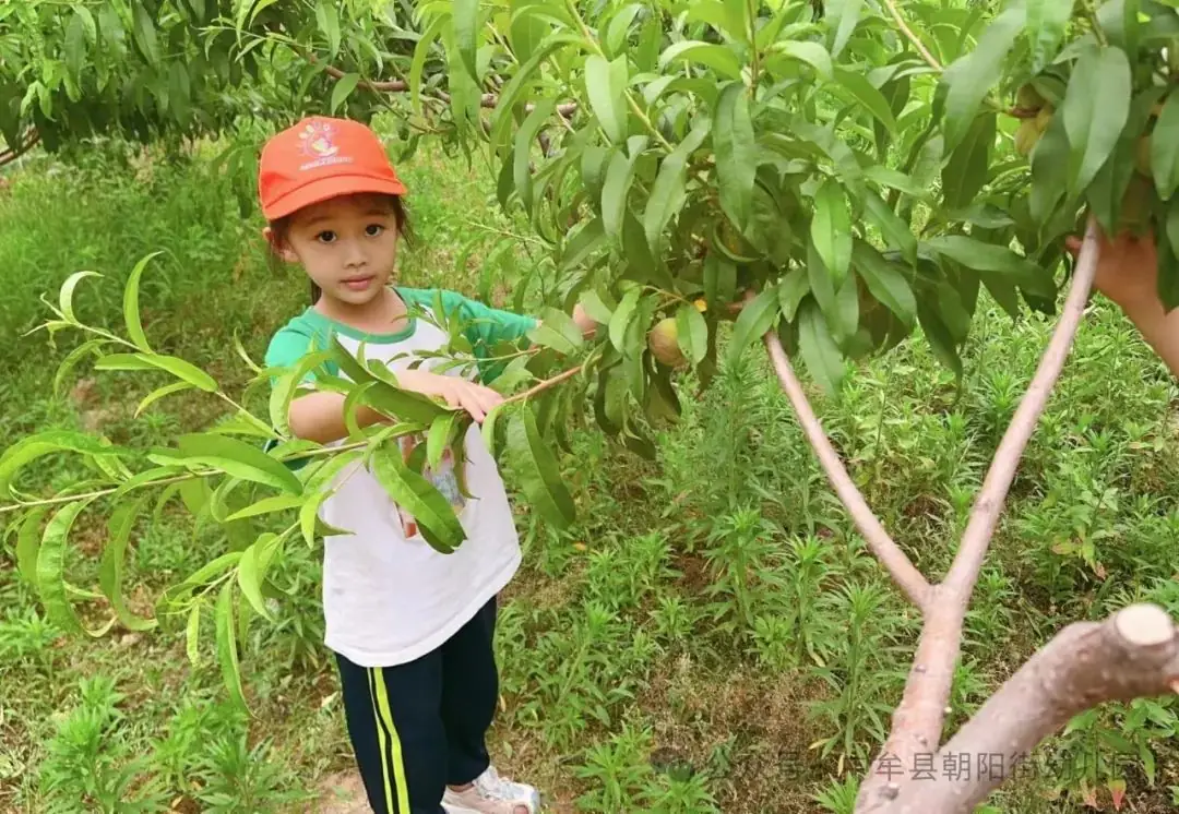 小学“慧”感知,衔接育成长——中牟县朝阳街幼儿园参观小学活动 第57张 小学“慧”感知,衔接育成长——中牟县朝阳街幼儿园参观小学活动 第57张