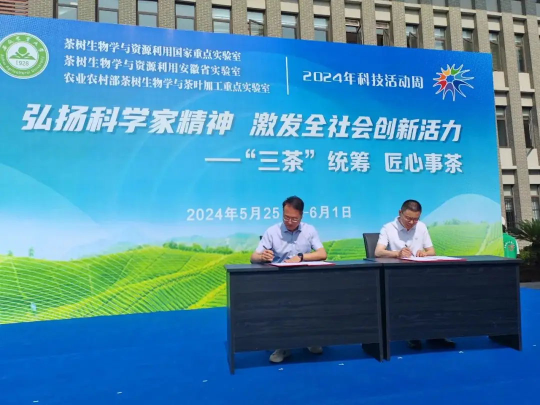 合肥市琥珀小学与安徽农业大学合作共建茶学科普教育基地 第1张 合肥市琥珀小学与安徽农业大学合作共建茶学科普教育基地 第1张