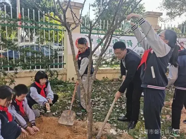 乐清市磐石镇小学2024年招生简章 第10张 乐清市磐石镇小学2024年招生简章 第10张