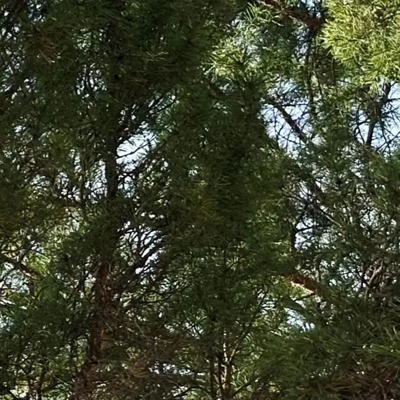 高考倒计时9天,加油! 第19张 高考倒计时9天,加油! 第19张