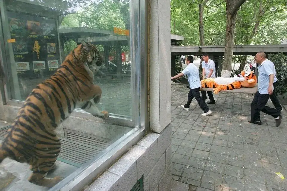 【meme合集】看看小学 第14张