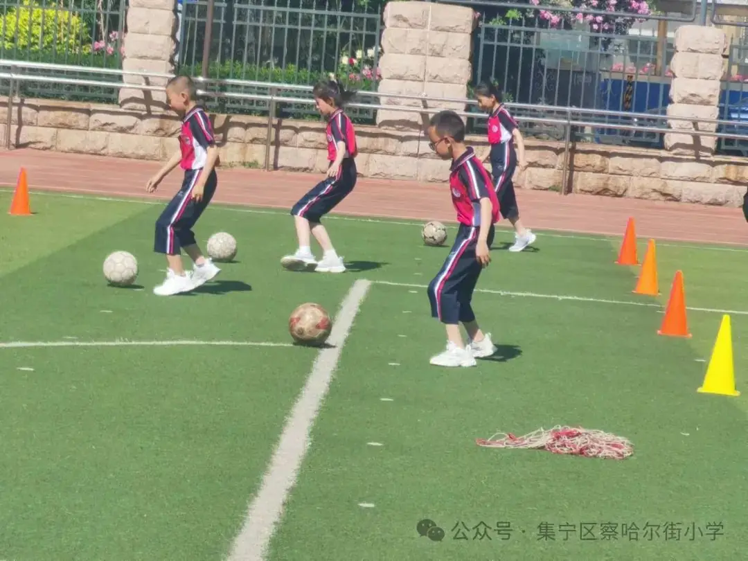 【京蒙交流】集宁区察哈尔街小学师生赴北京市朝阳区芳草地国际学校双花园校区学习交流 第27张 【京蒙交流】集宁区察哈尔街小学师生赴北京市朝阳区芳草地国际学校双花园校区学习交流 第27张