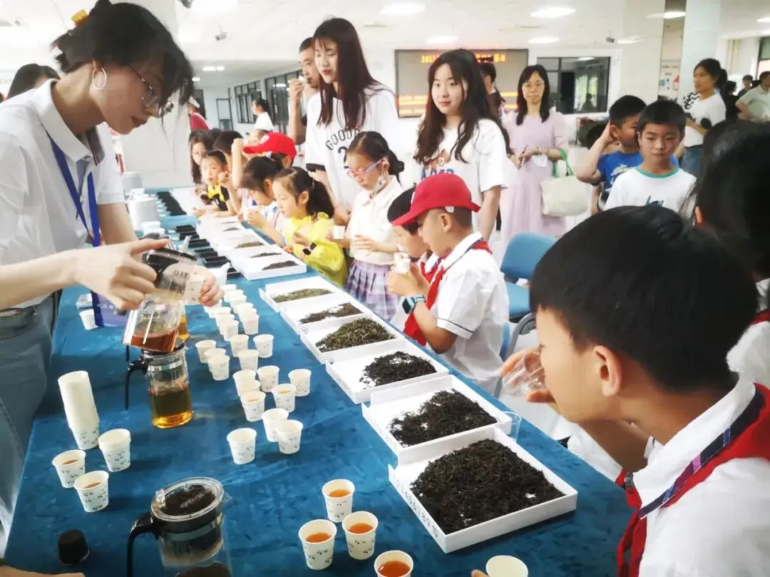 合肥市琥珀小学与安徽农业大学合作共建茶学科普教育基地 第16张 合肥市琥珀小学与安徽农业大学合作共建茶学科普教育基地 第16张