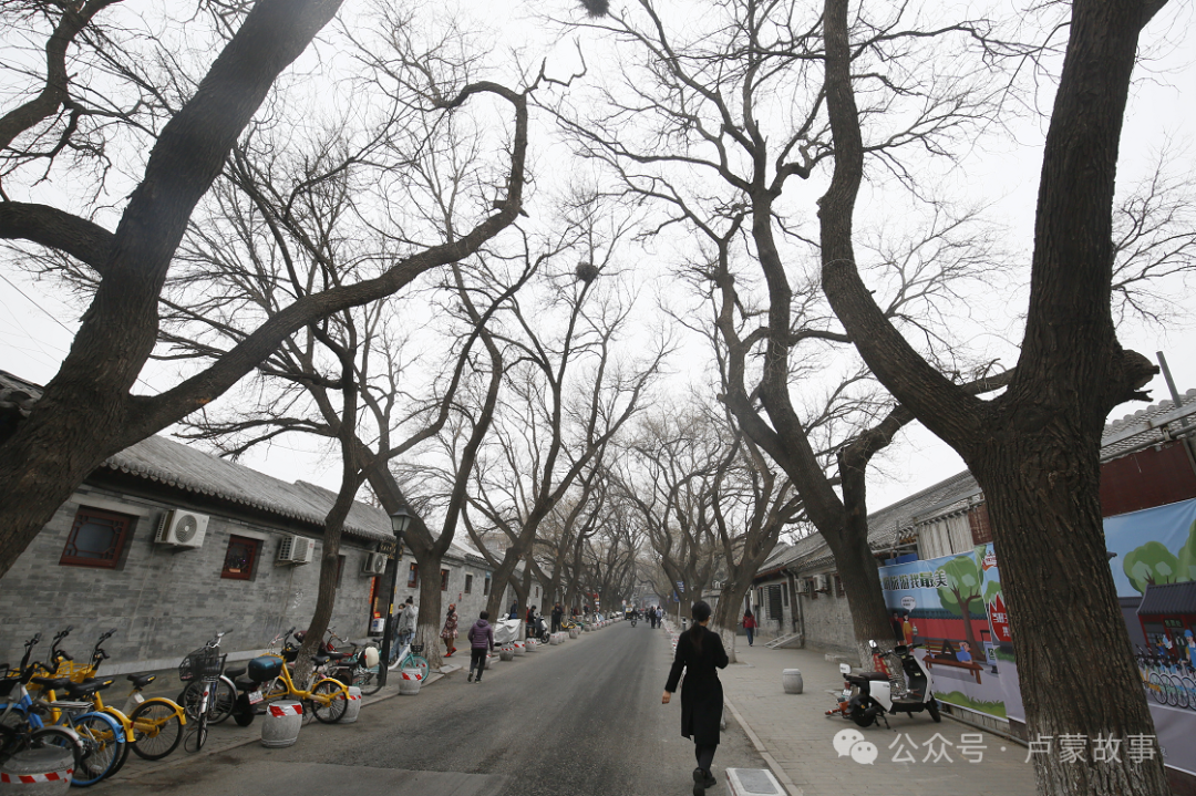 高考之前拜下槐 第5张 高考之前拜下槐 第5张