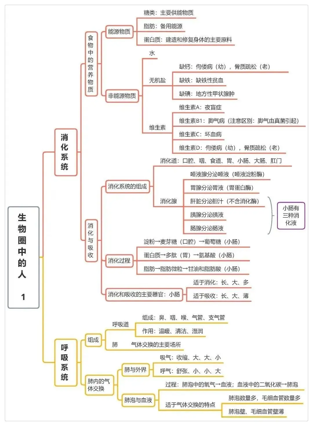 2025年中考地理、生物计入录取总分!地生如何学习考试能得高分? 第20张