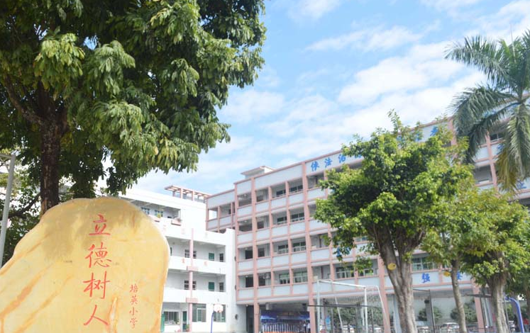 黄江培英小学为您提供志愿填报指引 第2张 黄江培英小学为您提供志愿填报指引 第2张