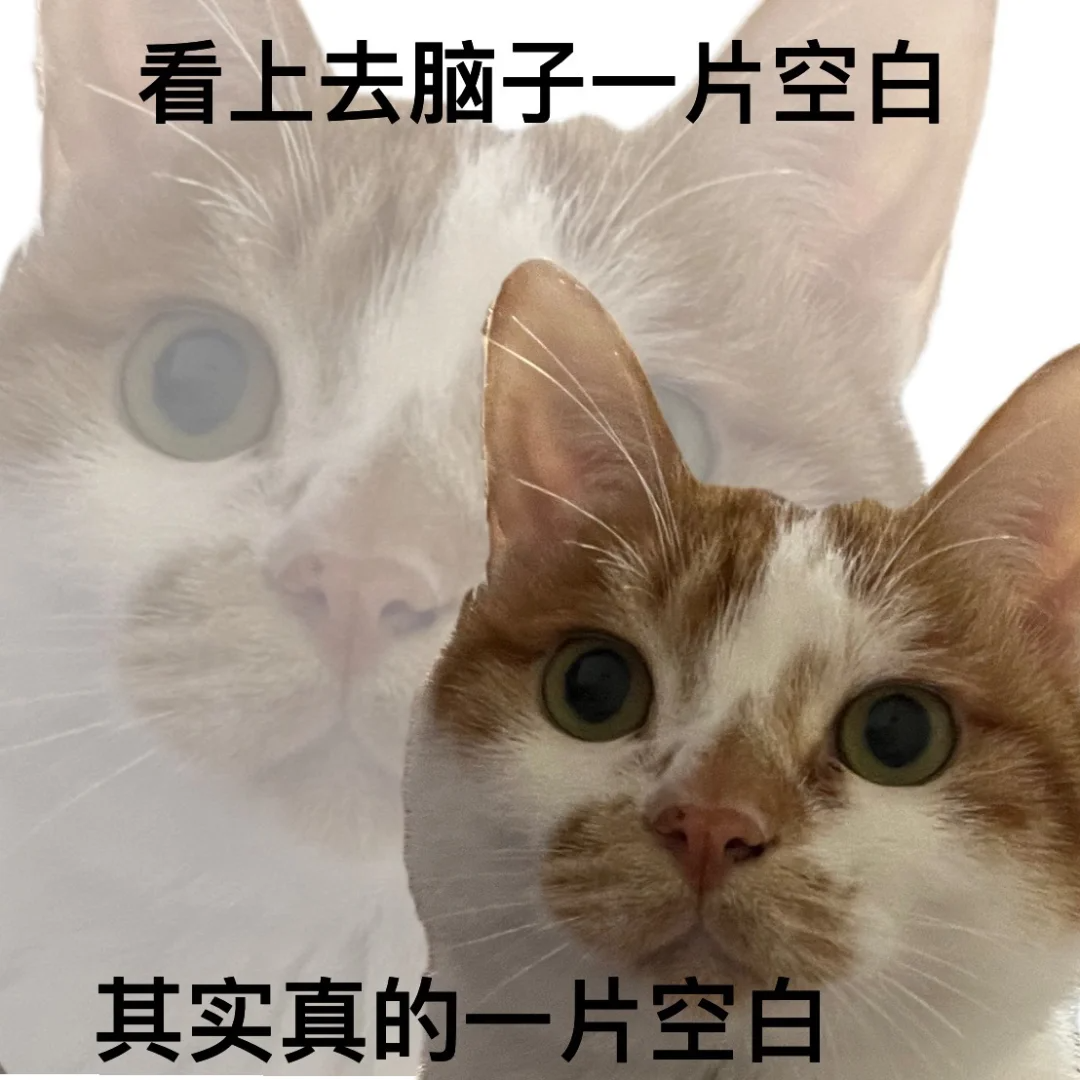 最新中高考规定!存诚信、遵法规、比真才!护航中高考,全力“医”赴•健康提示→ 第64张 最新中高考规定!存诚信、遵法规、比真才!护航中高考,全力“医”赴•健康提示→ 第64张