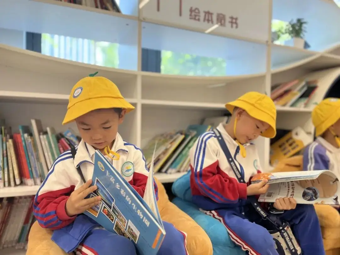 资讯速递|幼见小学,育见成长 第26张 资讯速递|幼见小学,育见成长 第26张