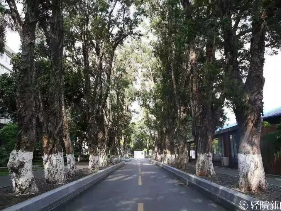 【录取分】3+证书高职高考学前教育公办大专录取最低分数线多少?哪些公办学校有学前教育专业? 第8张 【录取分】3+证书高职高考学前教育公办大专录取最低分数线多少?哪些公办学校有学前教育专业? 第8张
