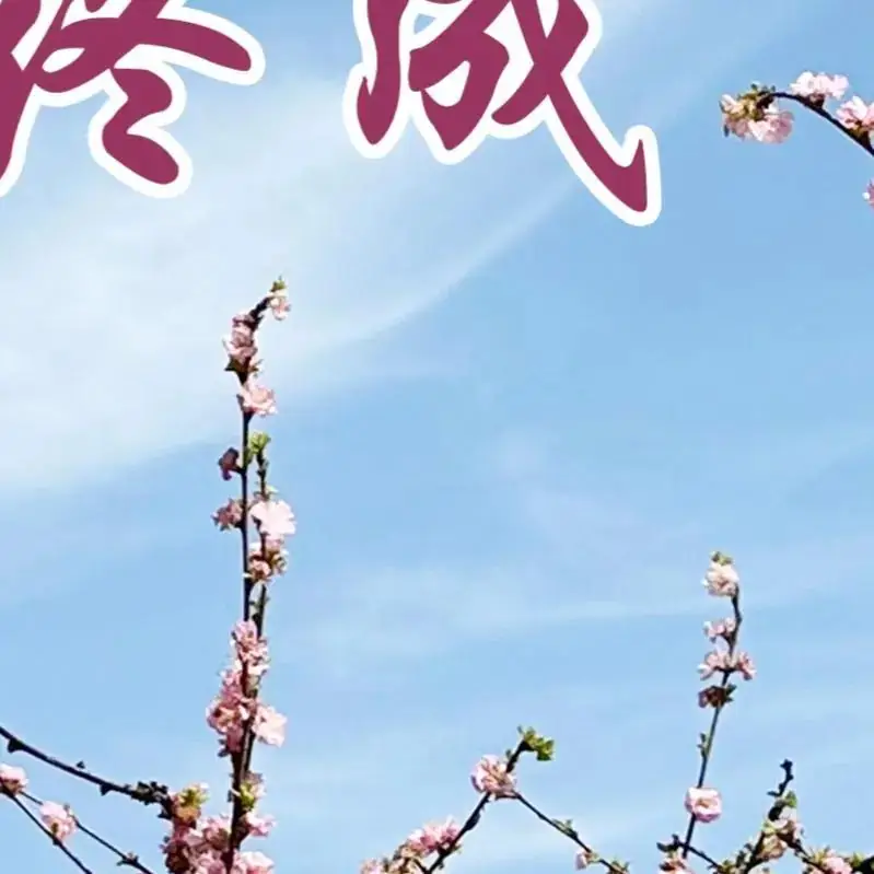 高考倒计时9天,加油! 第31张 高考倒计时9天,加油! 第31张