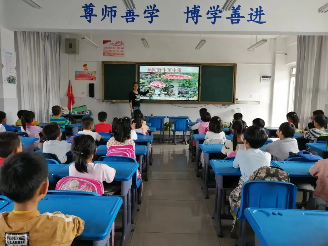 校园安全伴你行|市载道小学:着力上好安全教育“三堂课” 筑牢校园安全防线-第9张图片-四季读书网 校园安全伴你行|市载道小学:着力上好安全教育“三堂课” 筑牢校园安全防线-第9张图片-四季读书网