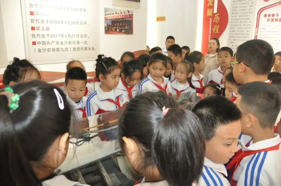 【第九小学 • 少先队】第九小学开展“欢庆'六·一'穿越稻香 耕耘未来”主题实践活动 第12张 【第九小学 • 少先队】第九小学开展“欢庆'六·一'穿越稻香 耕耘未来”主题实践活动 第12张