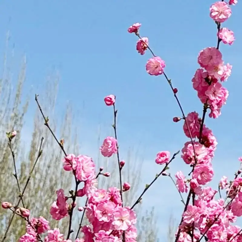 高考倒计时9天,加油! 第27张 高考倒计时9天,加油! 第27张