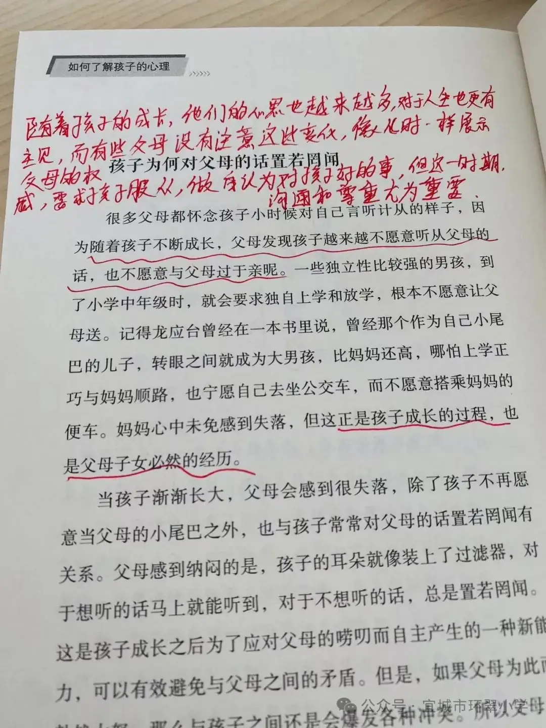 品味书香 陶醉人生||宜城市环翠小学教联体教师个人(2024春)读书分享活动 第21张 品味书香 陶醉人生||宜城市环翠小学教联体教师个人(2024春)读书分享活动 第21张