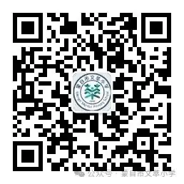 蒙自市文萃小学庆祝“六一”系列活动五 第15张 蒙自市文萃小学庆祝“六一”系列活动五 第15张