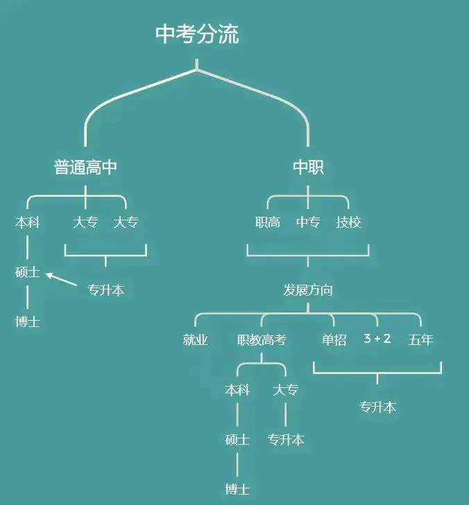 中考之后怎么规划中考分流了解一下 第1张 中考之后怎么规划中考分流了解一下 第1张