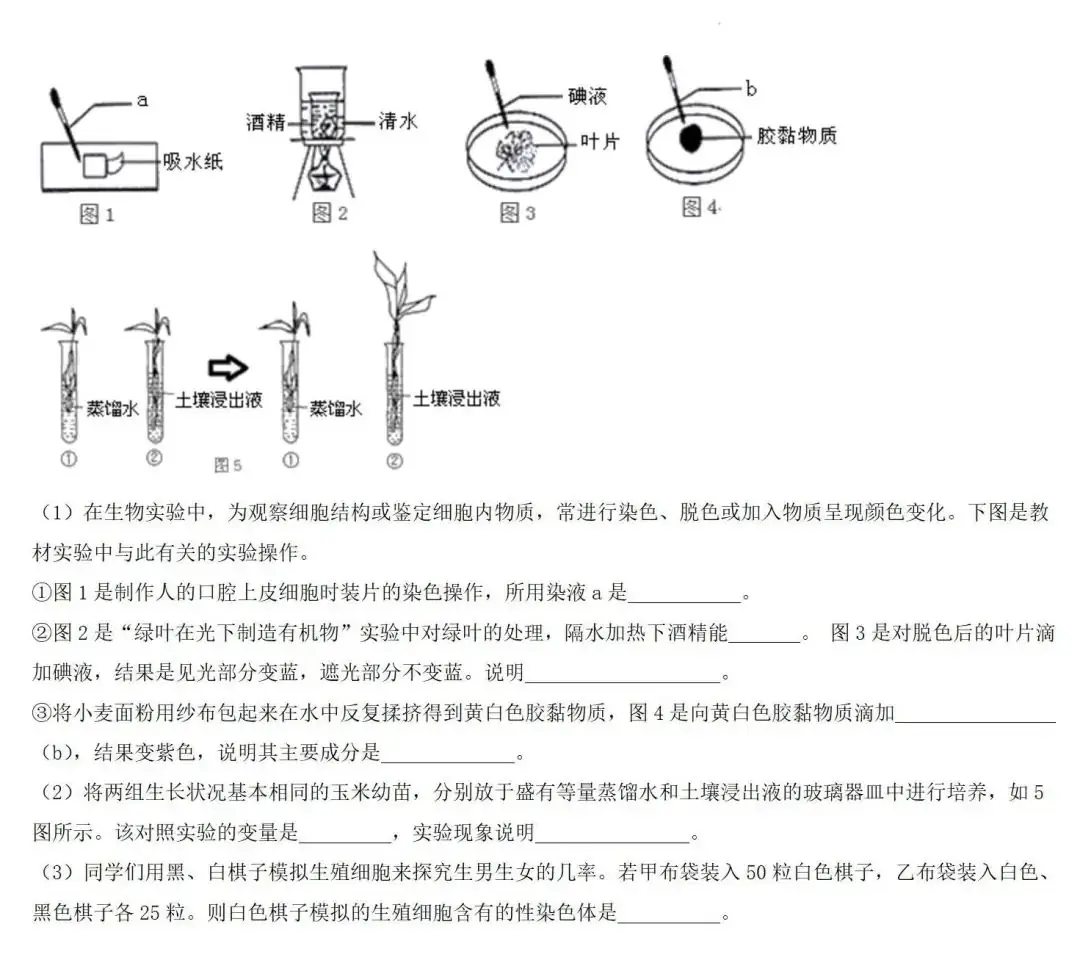 2024年中考生物专题训练:跨学科实践题(含答案)-第13张图片-四季读书网 2024年中考生物专题训练:跨学科实践题(含答案)-第13张图片-四季读书网