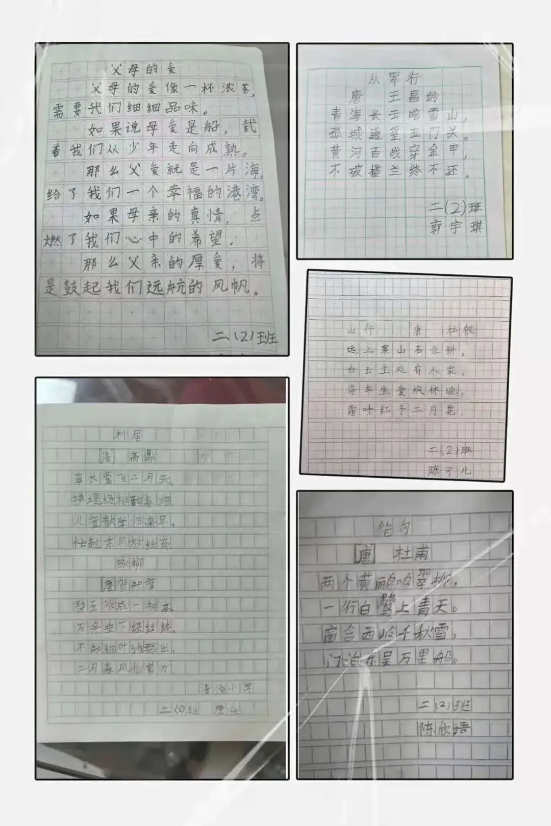 【清流小学】乐享书写  传承瑰宝 第19张