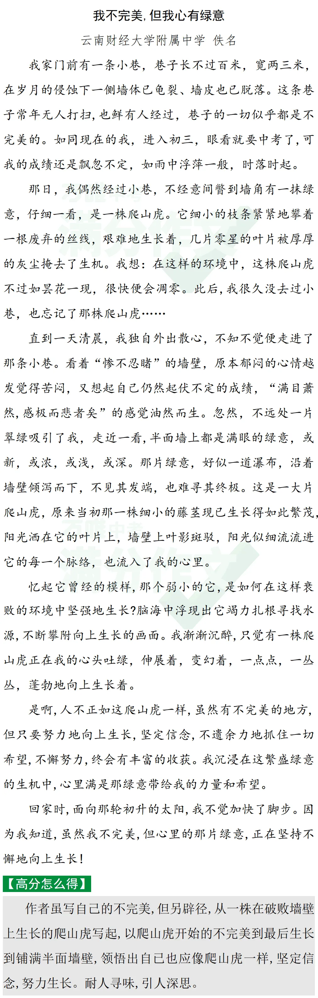 2024中考青春梦想&生活哲思类作文指导!!考题预测+思路点拨+精选素材+满分作文 第14张 2024中考青春梦想&生活哲思类作文指导!!考题预测+思路点拨+精选素材+满分作文 第14张
