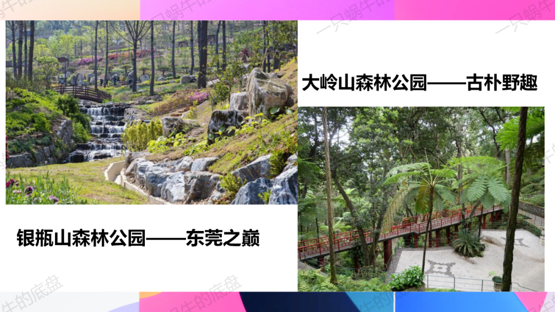 审美体验类 中考作文训练 第16张 审美体验类 中考作文训练 第16张
