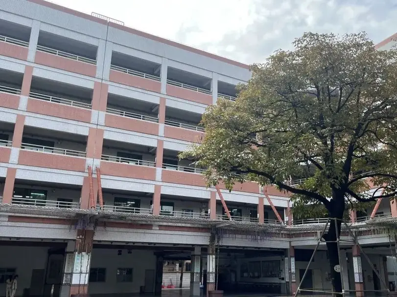 【你好·小学】大沥镇盐步第三幼儿园幼小衔接之小学参观体验活动 第46张