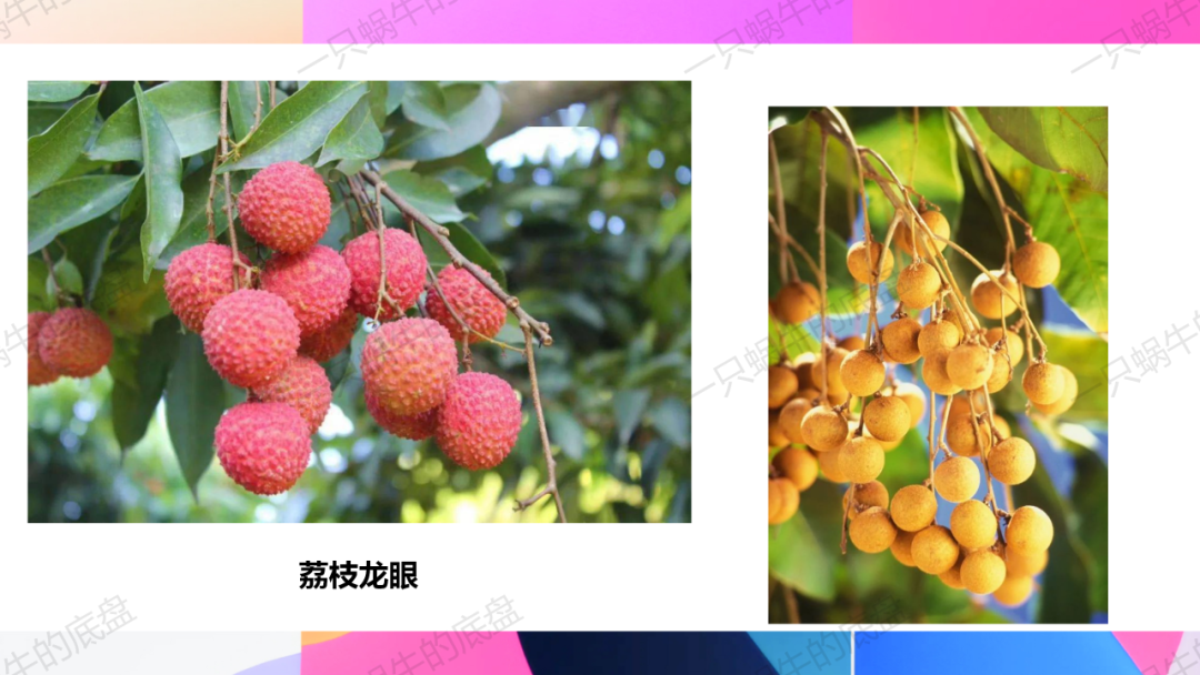 审美体验类 中考作文训练 第33张 审美体验类 中考作文训练 第33张