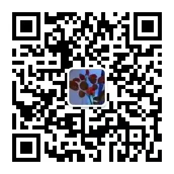 2024中考青春梦想&生活哲思类作文指导!!考题预测+思路点拨+精选素材+满分作文 第19张 2024中考青春梦想&生活哲思类作文指导!!考题预测+思路点拨+精选素材+满分作文 第19张