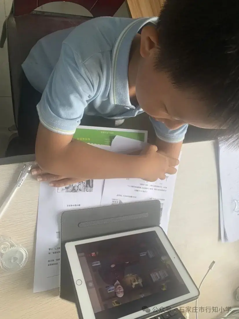 陶子巧借云平台  西游刮起阅读风——行知小学《西游记》整本书阅读活动展示 第12张