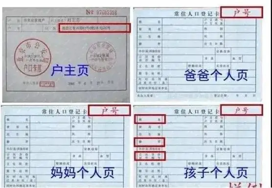 黄埭实验小学2024级一年级新生入学材料现场审核须知 第8张