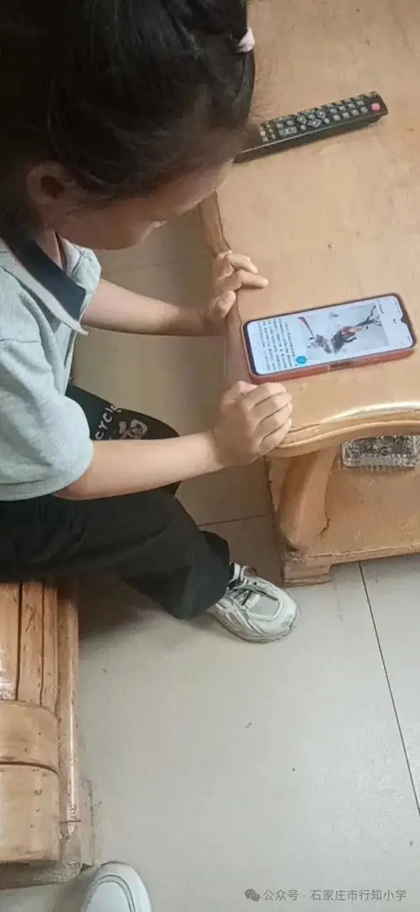 陶子巧借云平台  西游刮起阅读风——行知小学《西游记》整本书阅读活动展示 第16张