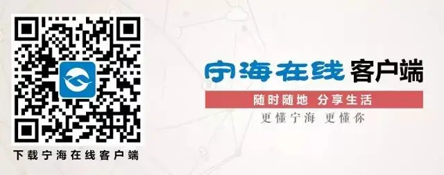 定了!宁海将新增一所小学!位置就在…… 第8张 定了!宁海将新增一所小学!位置就在…… 第8张