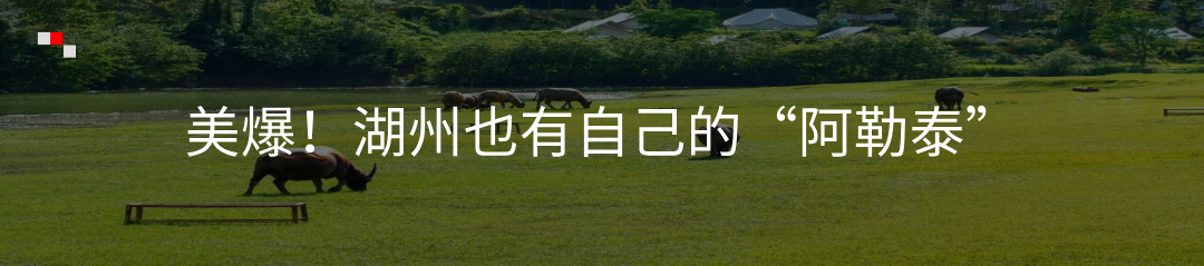 冲刺中考,省特级教师开讲! 第9张 冲刺中考,省特级教师开讲! 第9张