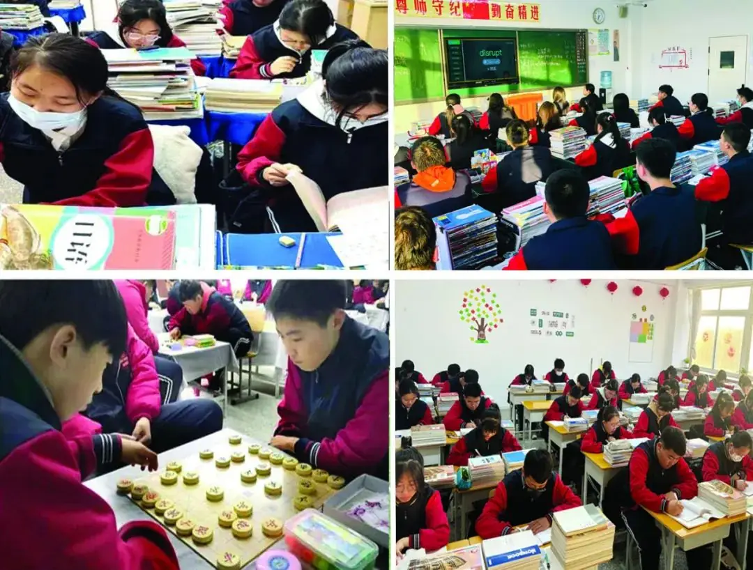 2024年大连中考志愿如何填报?大连航运学校中考志愿填报指南 / 考不上高中的孩子,未来如何考大学?大连家长请关注 第7张