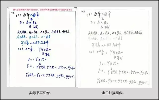 中考“电脑阅卷”,考生需要注意哪些细节? 第5张