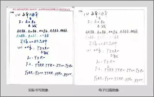 高考试卷被扫描后是啥样?你才知道你丢了多少冤枉分 ⊙ 第5张 高考试卷被扫描后是啥样?你才知道你丢了多少冤枉分 ⊙ 第5张