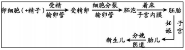 2024年中考生物一轮复习核心考点必背知识清单 第4张 2024年中考生物一轮复习核心考点必背知识清单 第4张